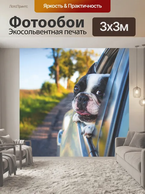 Фотообои Собака