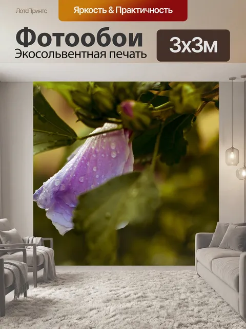Фотообои Цветок