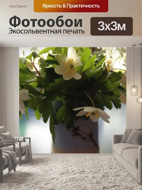 Фотообои Белые анемоны