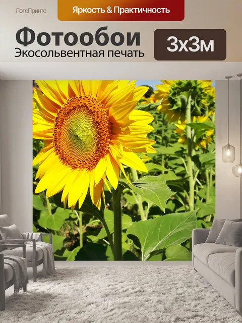 Фотообои Подсолнухи