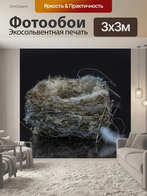 Фотообои Птичье гнездо