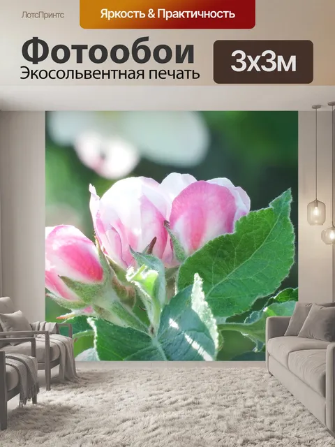 Фотообои Расцветает