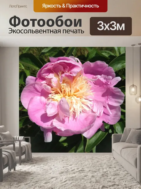 Фотообои Розовый пион