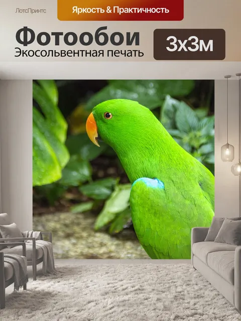 Фотообои Электус Попугай