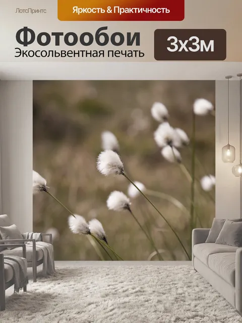 Фотообои Цветы хлопковой травы
