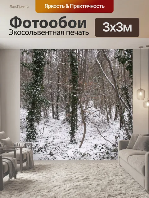 Фотообои Зимний лес