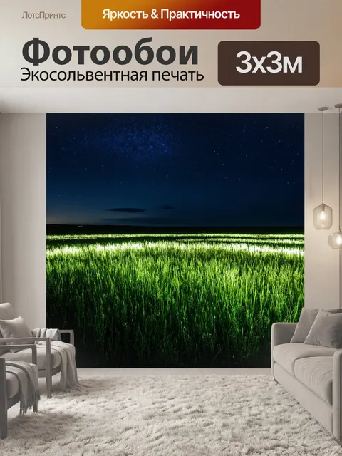 Фотообои поле, погруженное в ночь, освещенное только звездами, создающими волшебное сияние