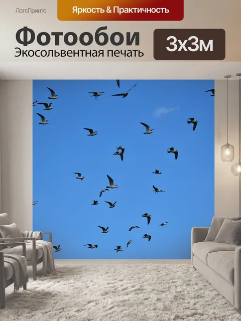 Фотообои Чайка