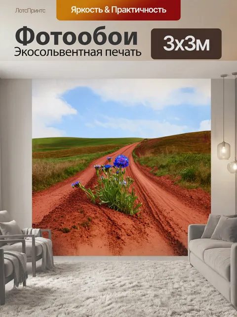 Фотообои по краю грязной дороги
