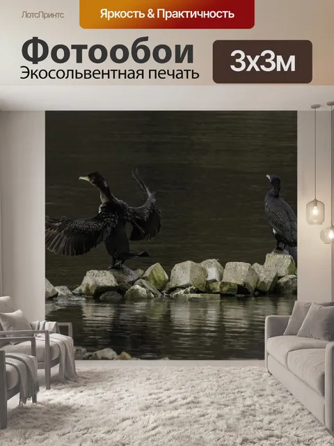 Фотообои Бакланы