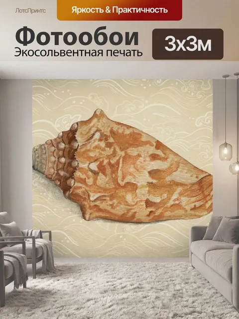 Фотообои Ракушки старинные плакат искусства