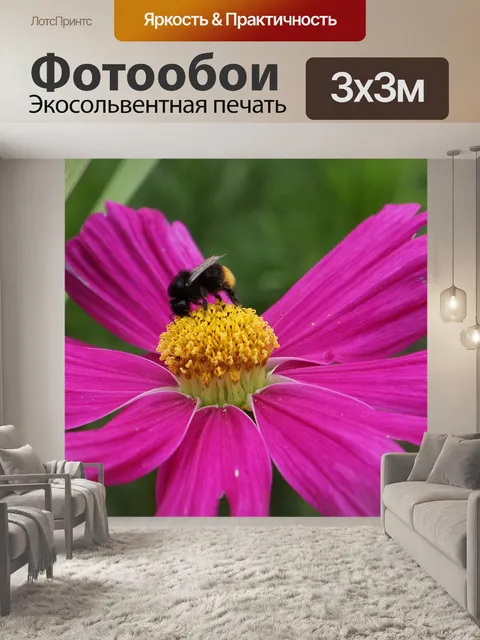 Фотообои Вселенная
