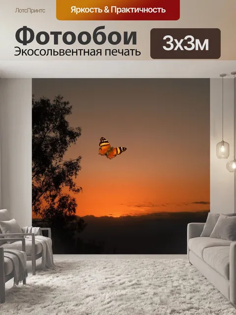 Фотообои Заход солнца