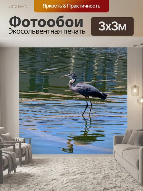 Фотообои Голубая цапля, стоящая на озере
