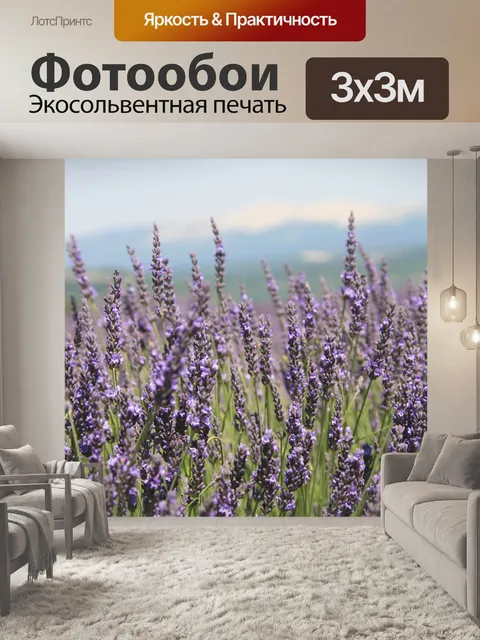 Фотообои Прованс