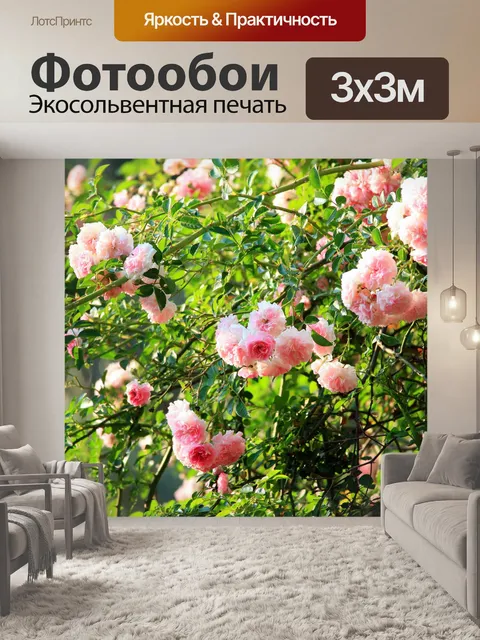 Фотообои конкурс розовый бессвязных розы
