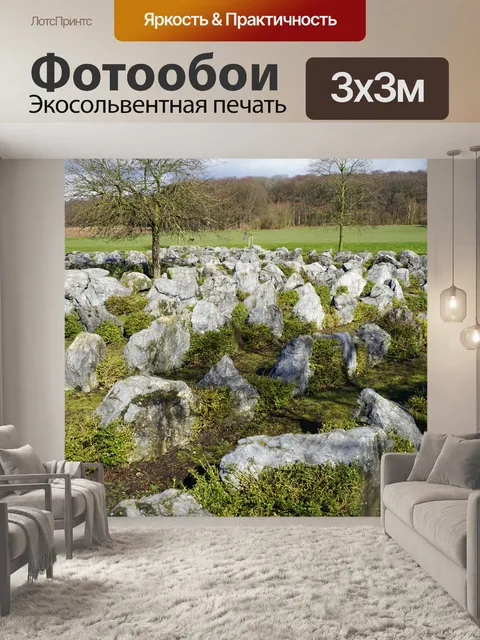Фотообои Лабиринт