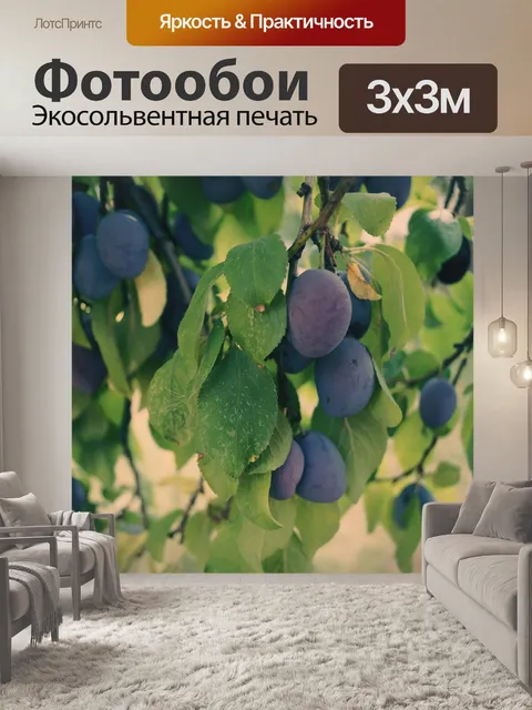 Фотообои Сливы