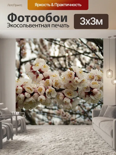 Фотообои Абрикос персиковое дерево цветок