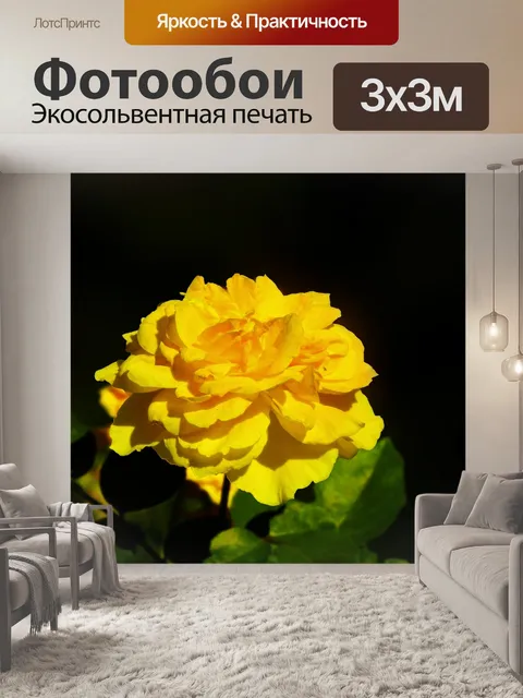 Фотообои Роза