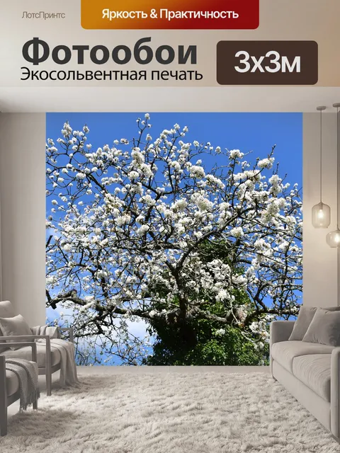 Фотообои Цветы