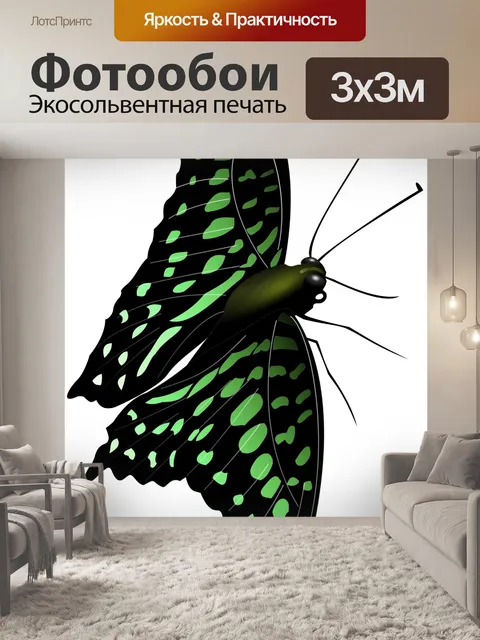 Фотообои зеленая бабочка