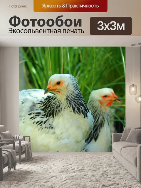 Фотообои Красивое животное