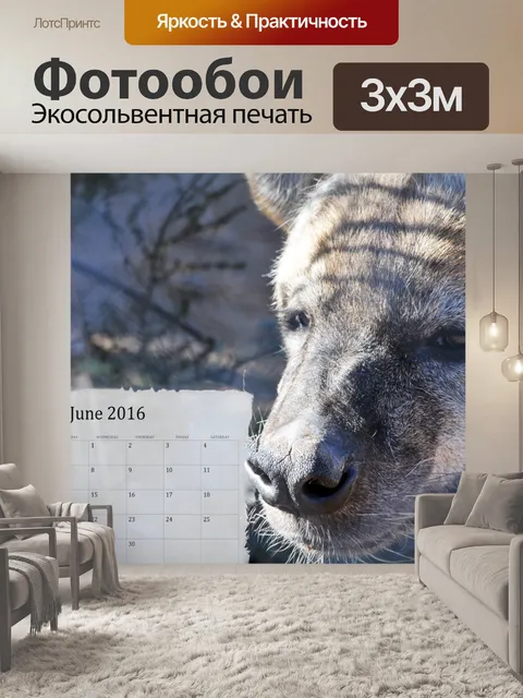 Фотообои Июнь 2016 Календарь с Hyena