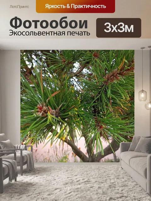 Фотообои растительная жизнь
