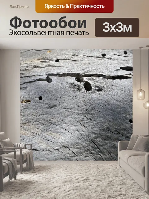 Фотообои Ветвь дерева