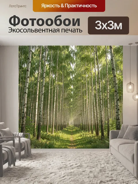 Фотообои Березовая роща в солнечных лучах