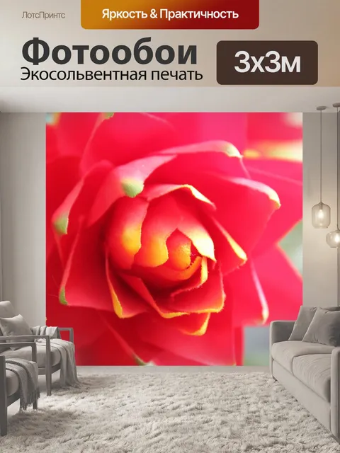 Фотообои красный цветок 11