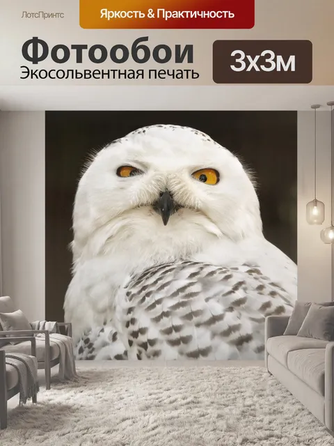 Фотообои Снежная сова хищная птица ночная птица