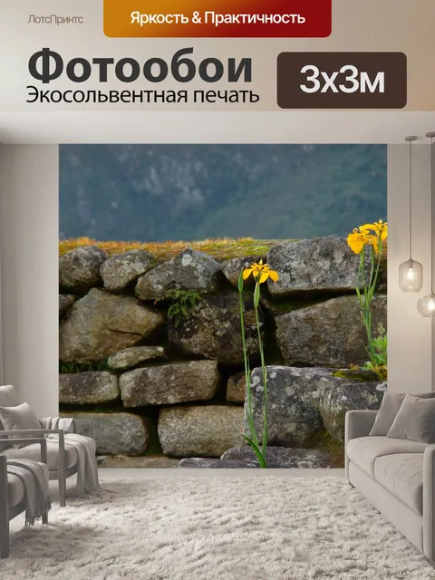 Фотообои Цветы