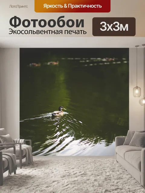 Фотообои Утка