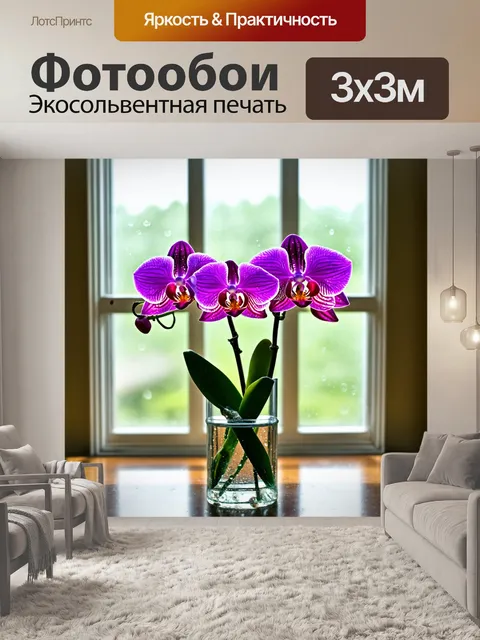 Фотообои орхидея, расположенная в стеклянной вазе, окруженная каплями воды и светом от окна
