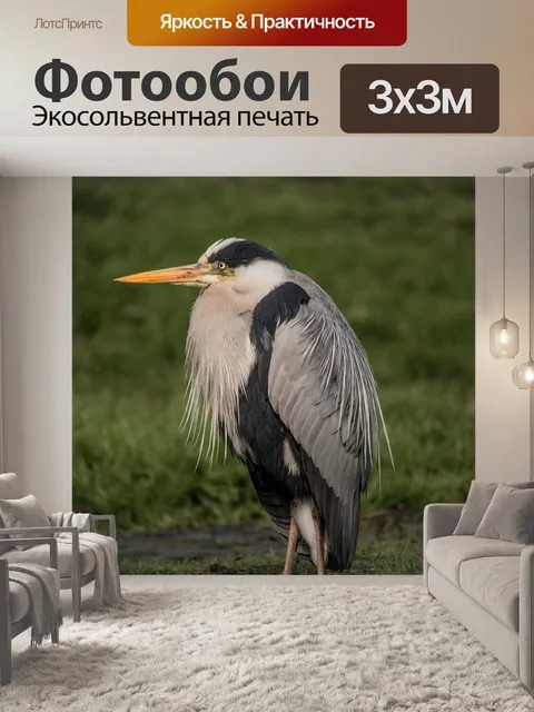 Фотообои Серая цапля