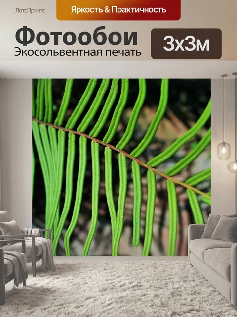 Фотообои зеленый листья папоротника