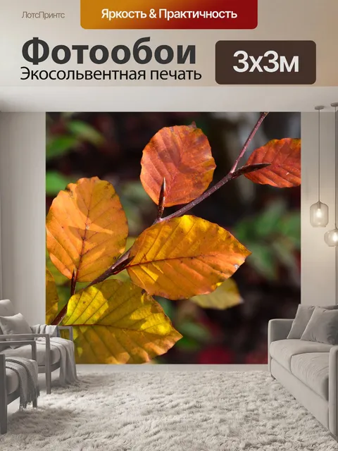 Фотообои Листья