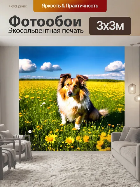 Фотообои шелти, собака с густой шерстью, сидит на ярком зеленом лугу, окруженная цветущими дикими цветами