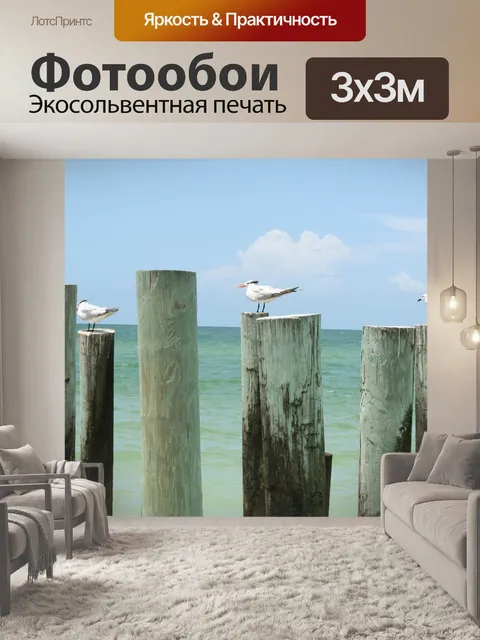 Фотообои Чайка