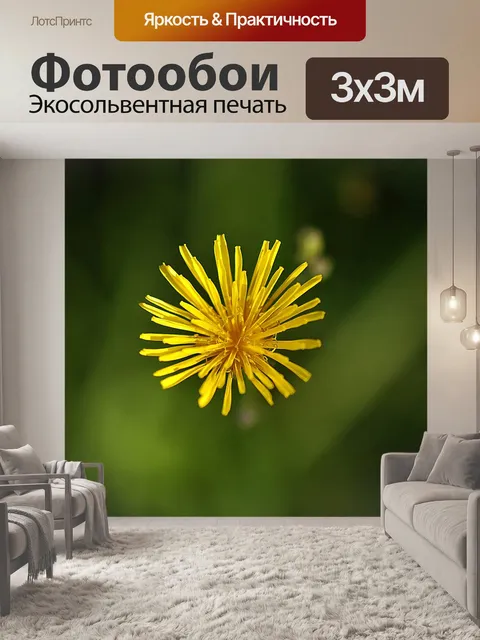 Фотообои Осенние одуванчики