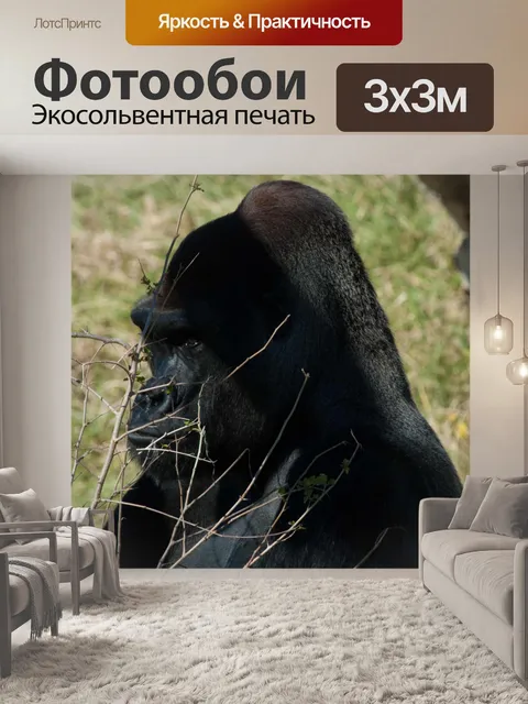 Фотообои Сильвербэк Горилла