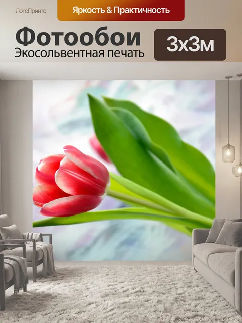 Фотообои Red tulip