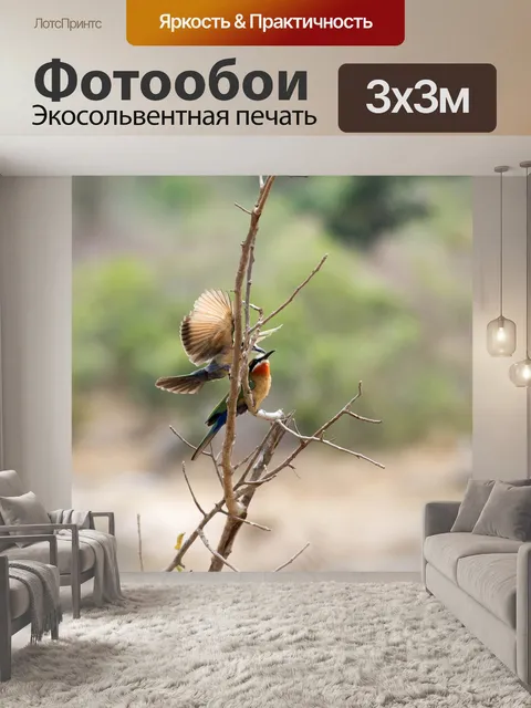 Фотообои Южная африка