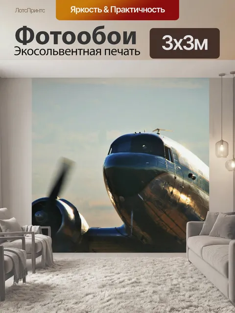 Фотообои авиашоу, Исторический полет Дакота