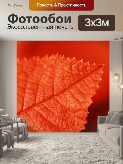Фотообои Детали красных листьев