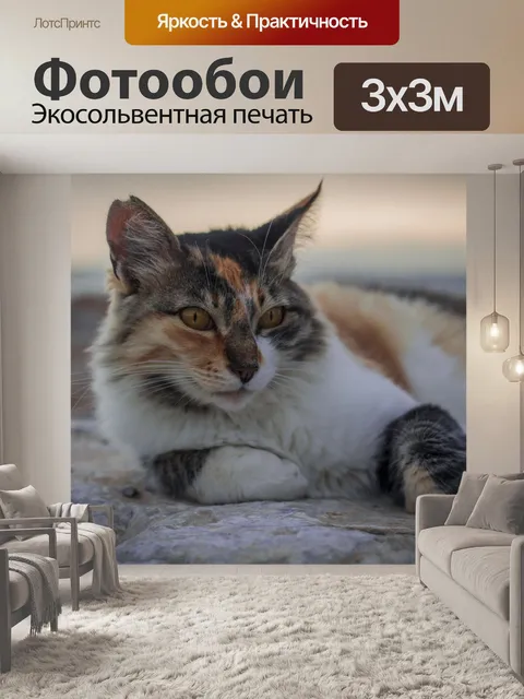 Фотообои Кошка