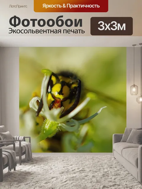 Фотообои Оса