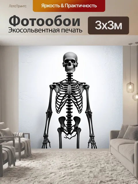 Фотообои рентгеновский снимок с четким изображением человеческой скелетной структуры на фоне стерильной белой стены